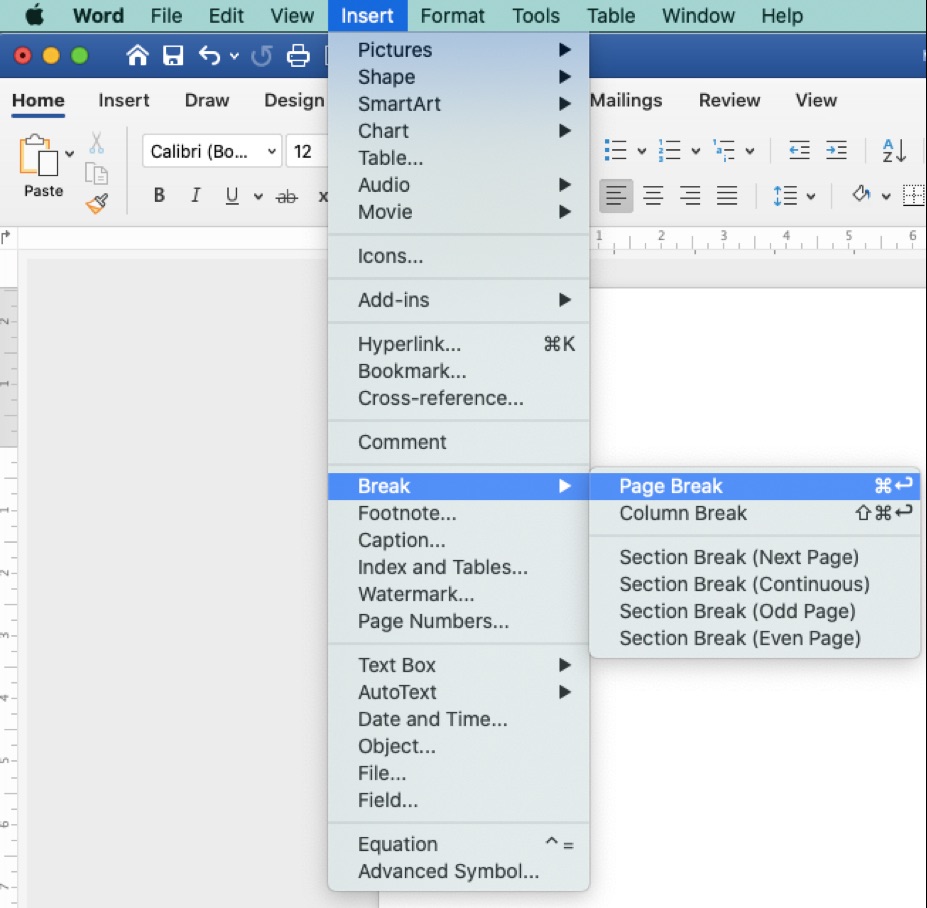 How to Create a New Page or Insert a Page Break in Microsoft Word